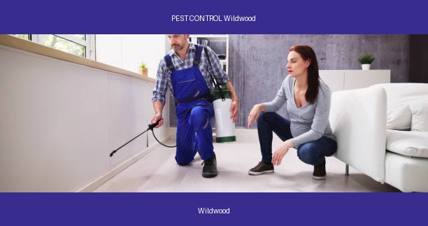 PEST CONTROL Wildwood
